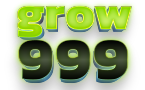 grow999 สล็อตแตกง่าย ได้เงินจริง เว็บเดียวจบครบทุกเกม